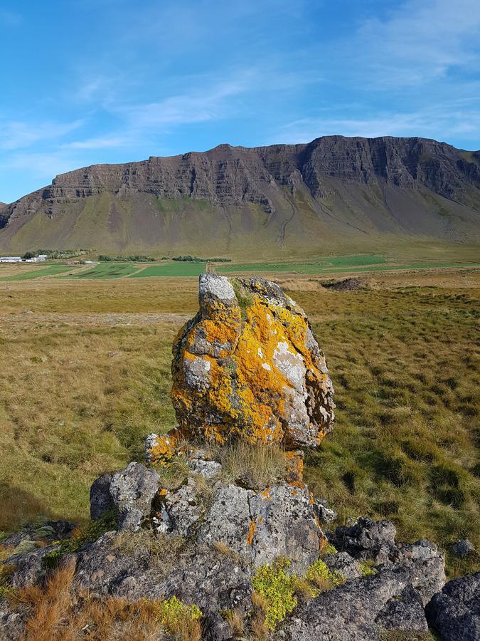 Miðjanes Reykhólahrepp Vendégház Reykholar Kültér fotó