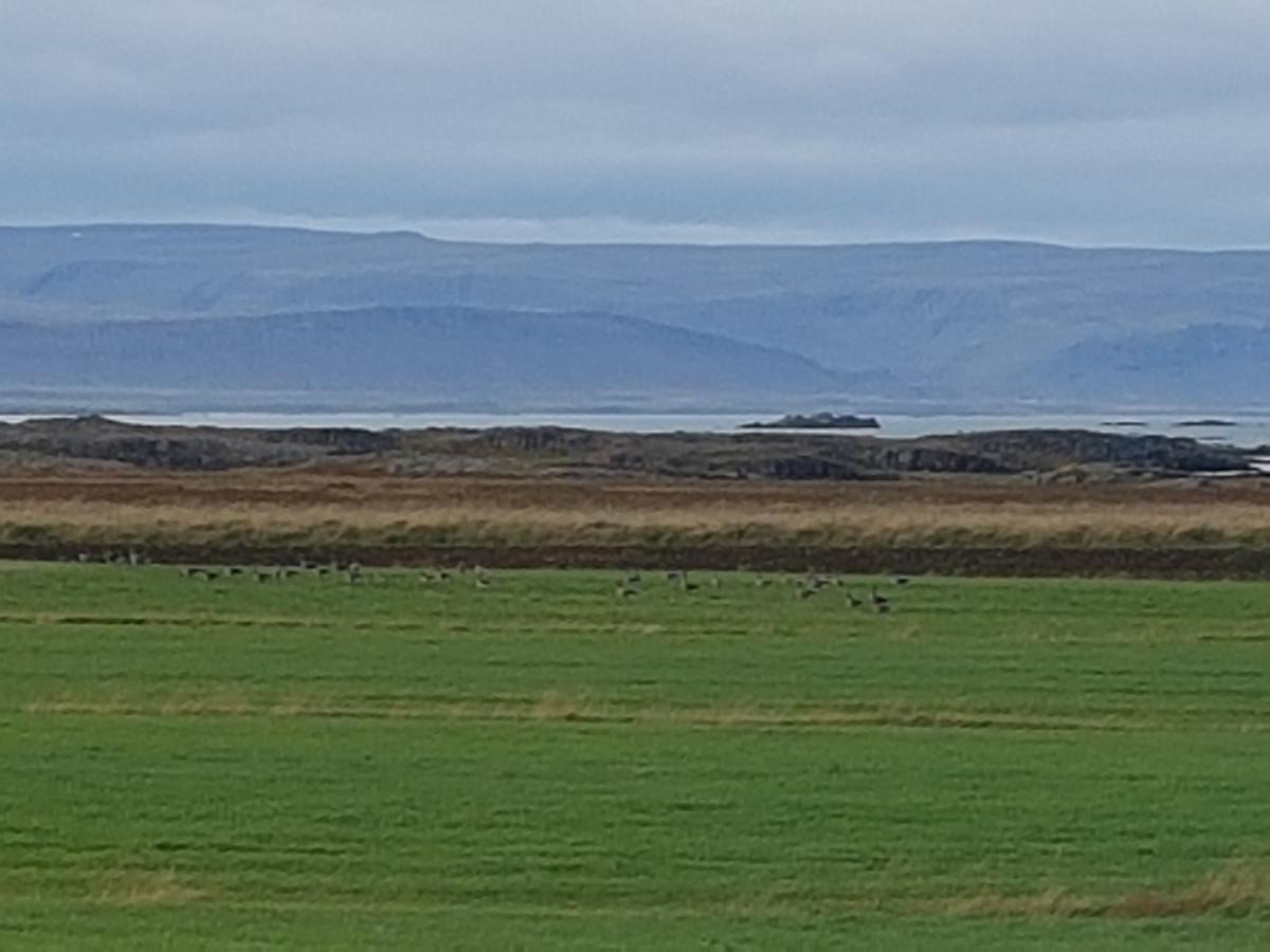 Miðjanes Reykhólahrepp Vendégház Reykholar Kültér fotó