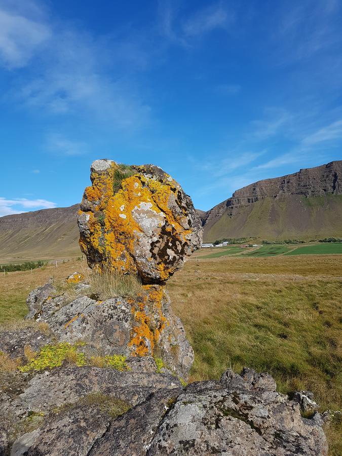 Miðjanes Reykhólahrepp Vendégház Reykholar Kültér fotó